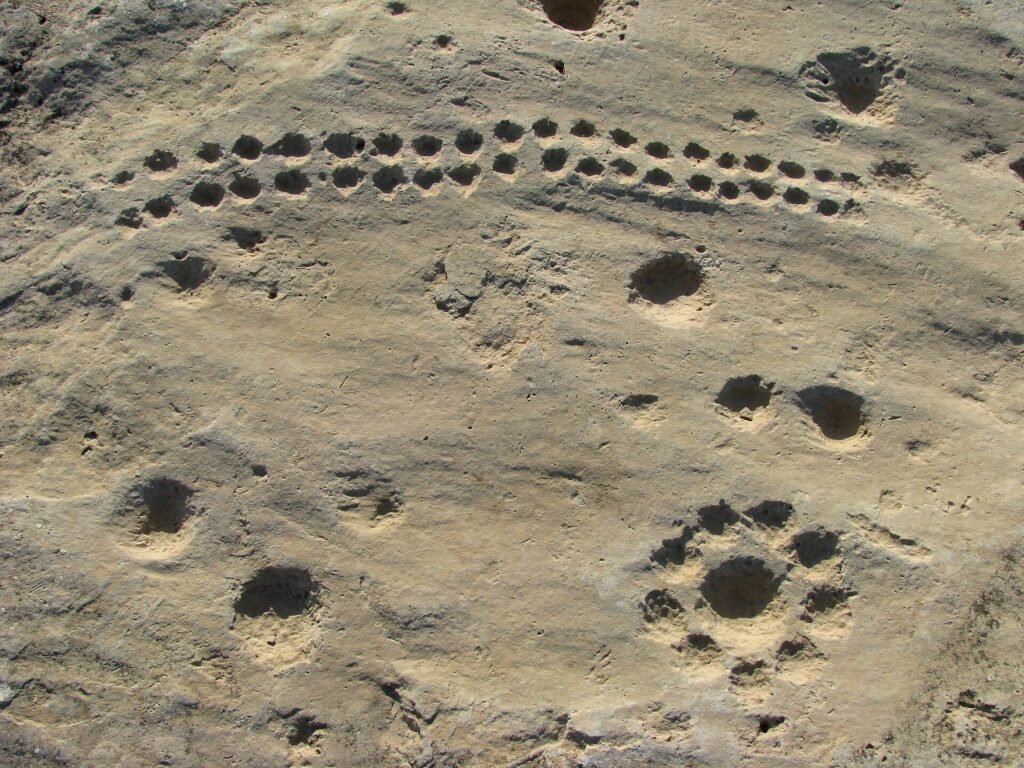 Dot carvings at Jebel Jassassiyeh