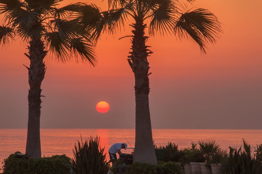 Sunrise through palm trees at the Doha Corniche