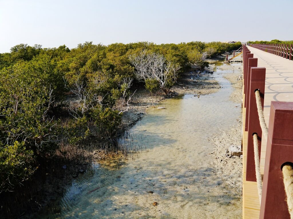 Al Khor Al Khor Island