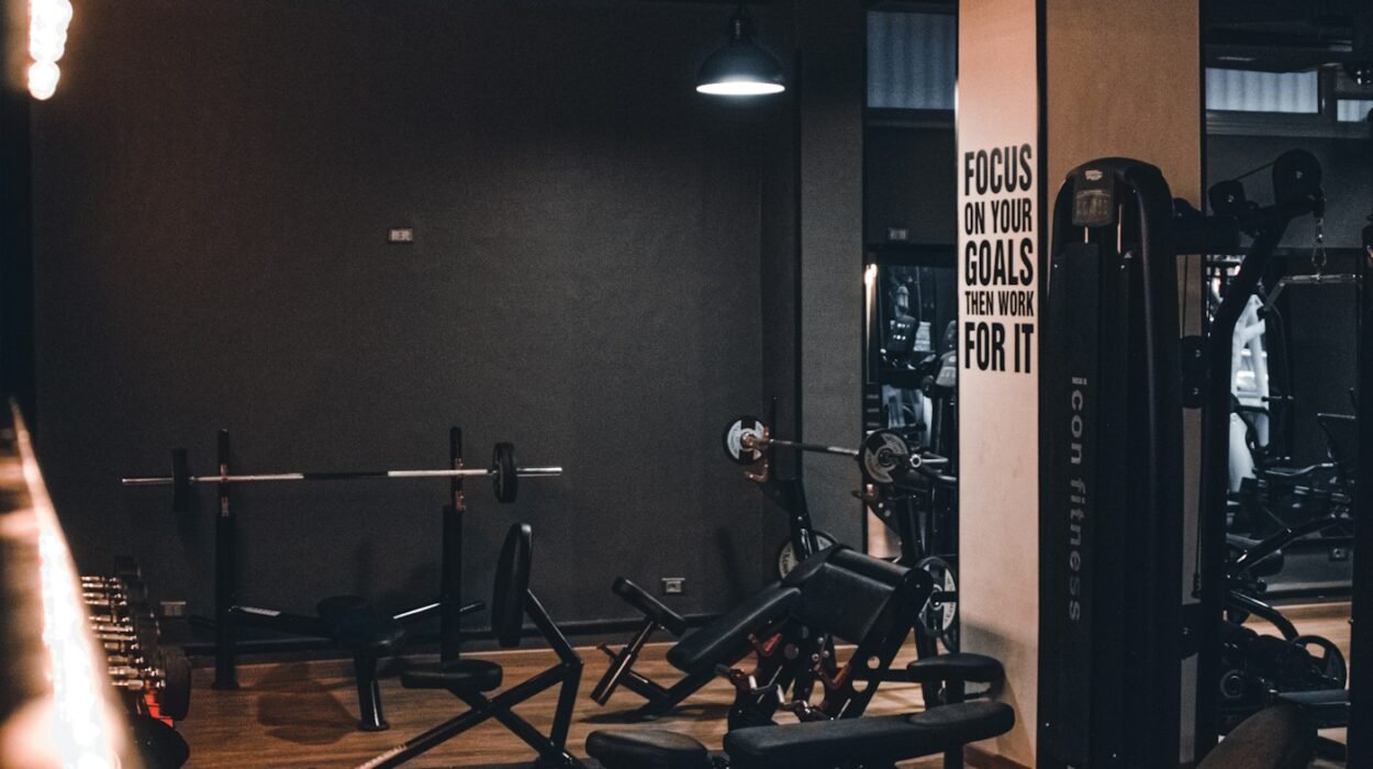 Gym interior with a row of exercise machines